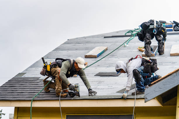Professional Storm Damage Roof Repair technician working in Martensdale, IA